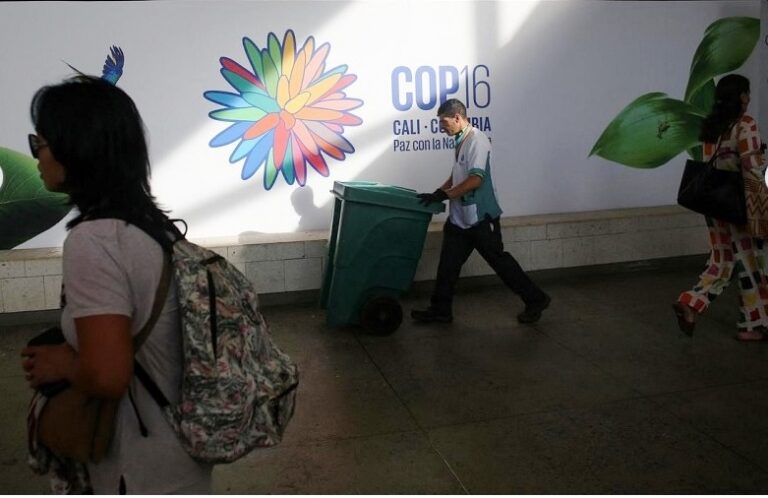 World lags on 2030 nature goals headed into UN COP16 talks