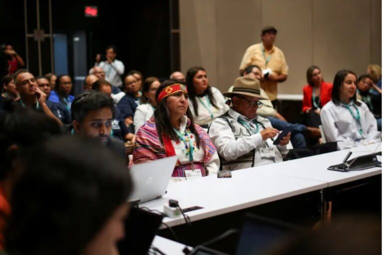 Nearly 200 countries gather at COP16 to discuss meeting 2022 treaty pledges