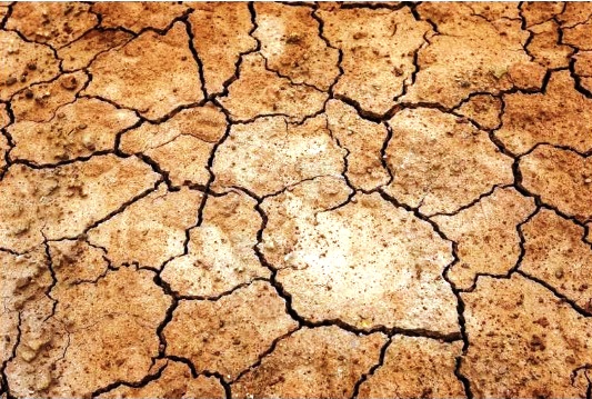 Global drought threatens food supplies and energy production