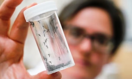 Europe’s medical schools to give more training on diseases linked to climate crisis