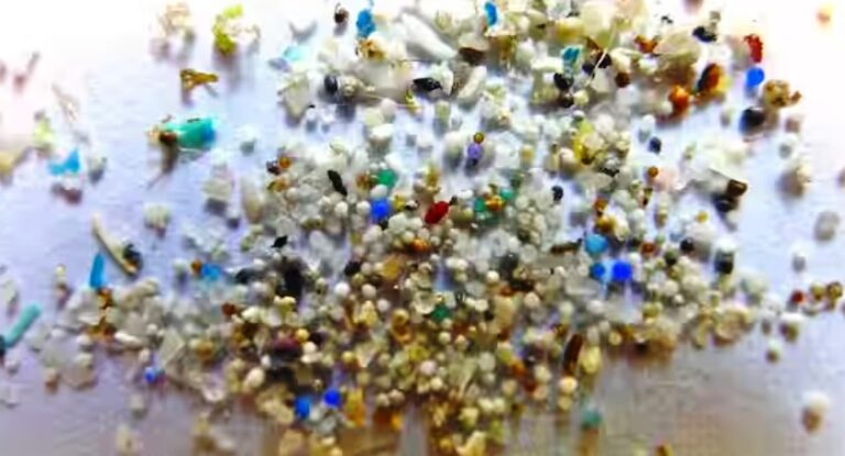 Fetus absorbing microplastics which persist post-birth, claims alarming study