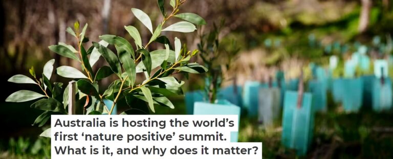 Australia is hosting the world’s first ‘nature positive’ summit. What is it, and why does it matter?