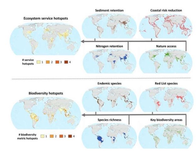 Open-source footprinting tool: Companies and investors can now get smarter when it comes to nature