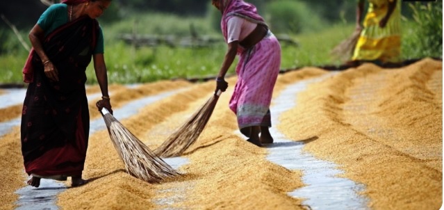 Rural women are the frontline warriors against climate change