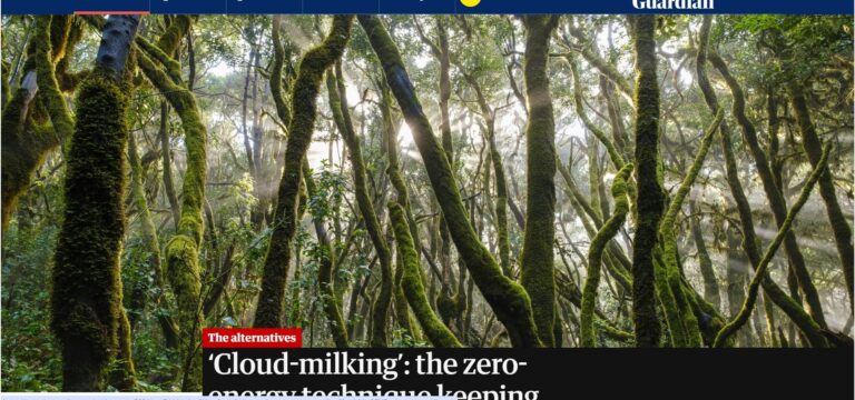 ‘Cloud-milking’: the zero-energy technique keeping young trees alive