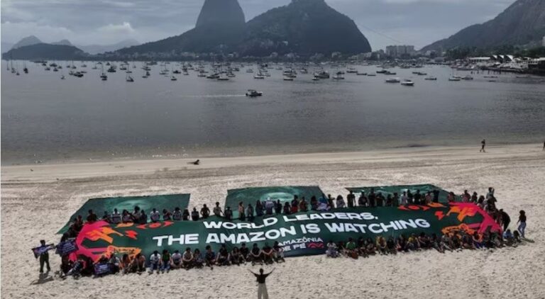 G20 nations reach climate finance breakthrough that eluded COP29 talks: Report