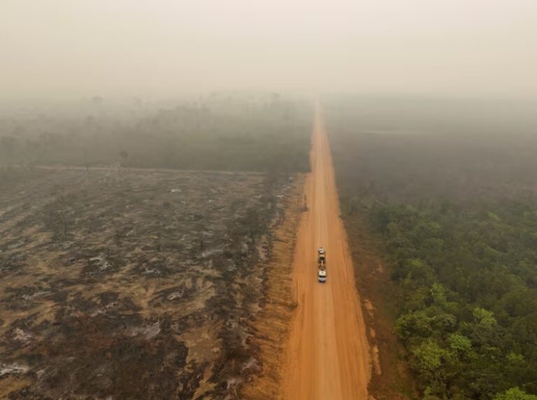 Global CO2 emissions to hit record high in 2024, report says