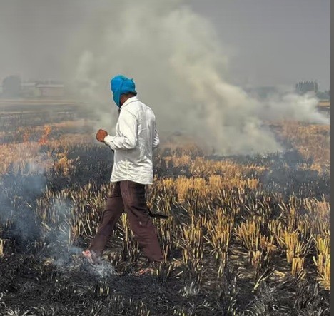 ‘India’s pollution mystery’: Are Punjab, Haryana farmers outsmarting NASA’s satellite detection?