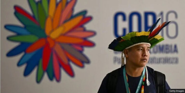 Politicians not ambitious enough to save nature, say scientists