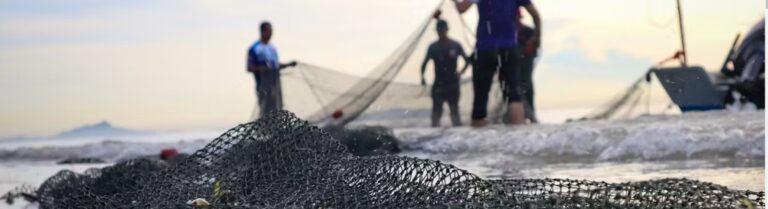 How the state of our oceans is intrinsically linked to human health – new report