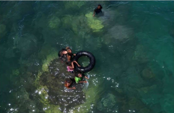 Scientists say world’s largest coral found near Solomon Islands