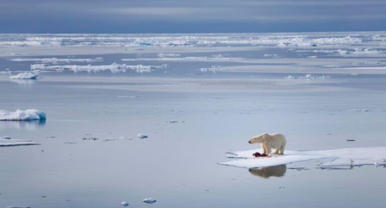 All Arctic ice could melt by 2027, warn scientists