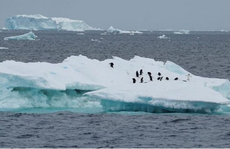 China’s first atmospheric monitoring station in Antarctica begins operations