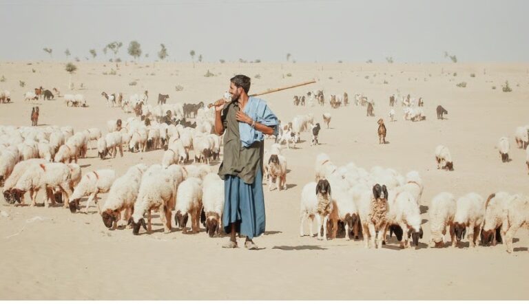 Global strategy to revolutionise dryland farming unveiled in Riyadh