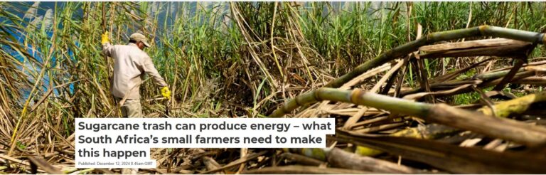 Sugarcane trash can produce energy – what South Africa’s small farmers need to make this happen