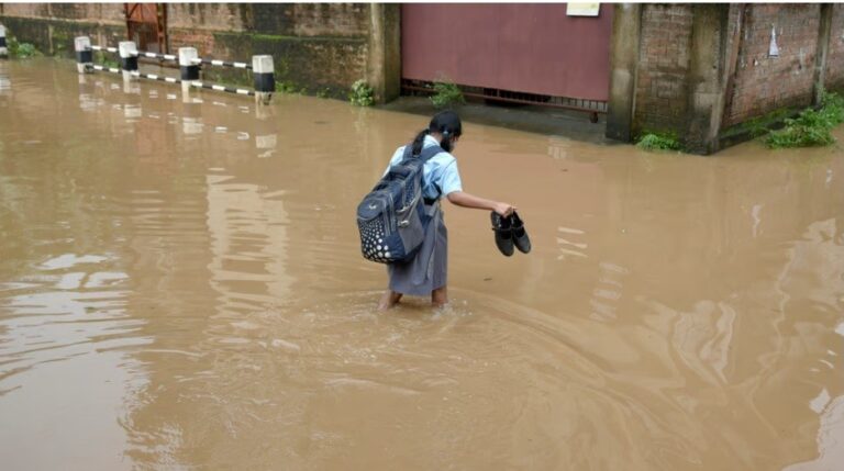 94% Indian youth feels impacted by climate change: Survey