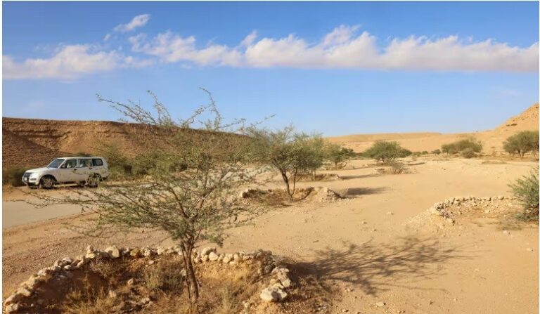 Land degradation expanding by 1m sq km a year, study shows