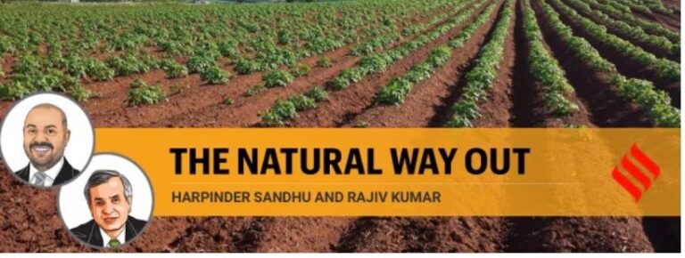 How regenerative farming can safeguard our soil