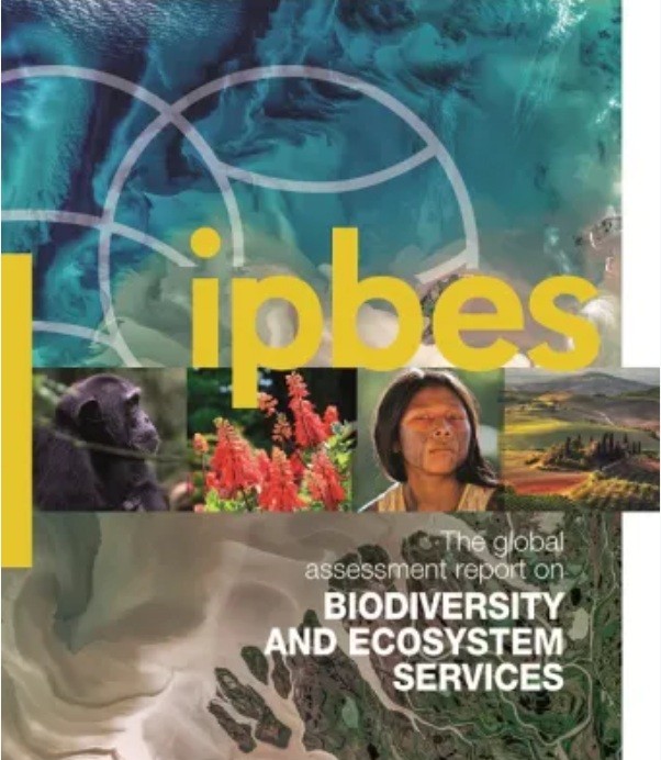 Global Assessment Report on Biodiversity and Ecosystem Services