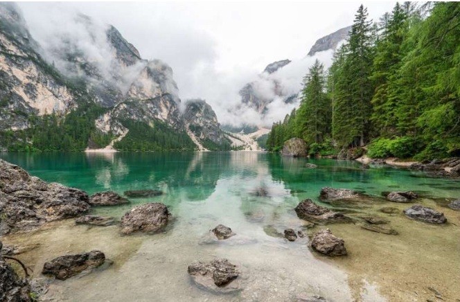 Global report calls for urgent action to reverse biodiversity loss