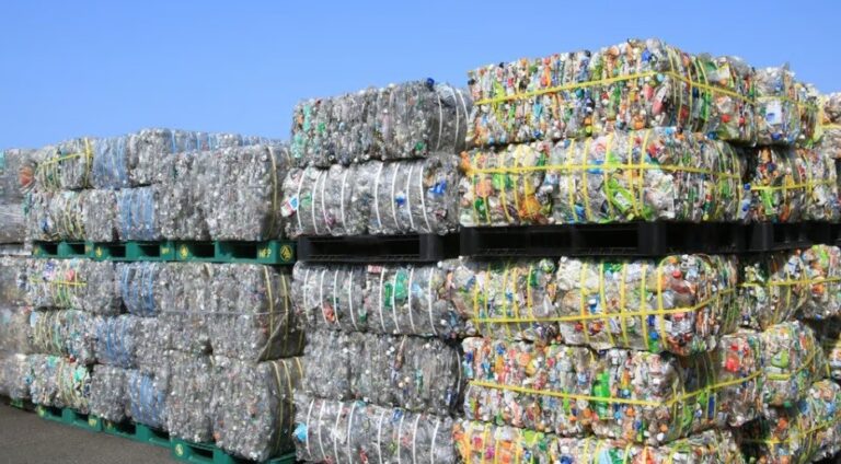 Plastic pollution treaty should embrace circular economy education