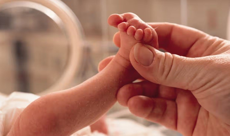 Microplastics in placentas linked to premature births, study suggests