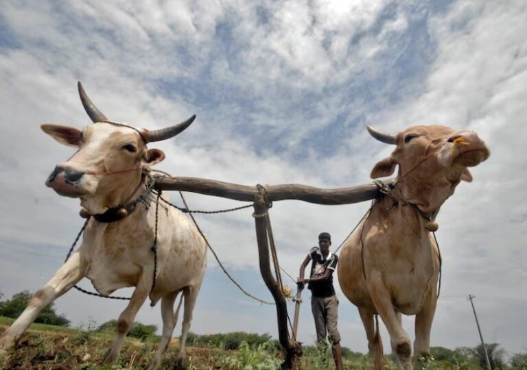 Satya Tripathi: ‘We aren’t here to fix the market, we are here to fix the planet’