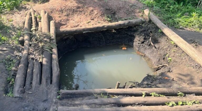 Drought and farming: How women in South Africa are using Indigenous knowledge to cope