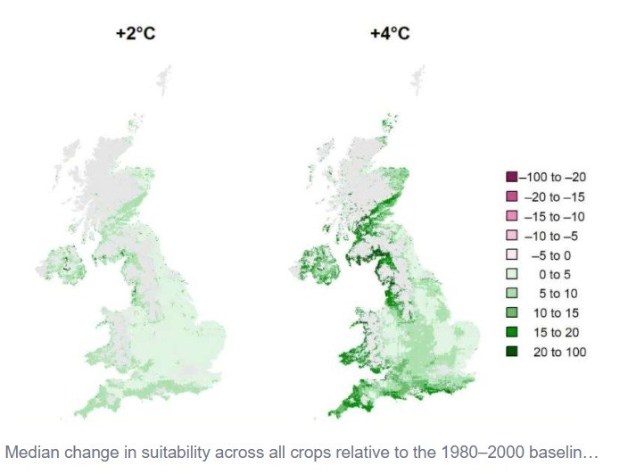 Scientists predict what will be top of the crops in the UK by 2080 due to climate change