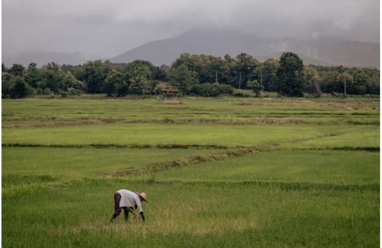 Nobel prize winners call for urgent ‘moonshot’ effort to avert global hunger catastrophe