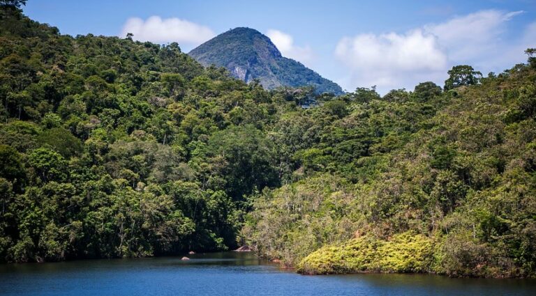 CBD COP16 secures landmark biodiversity funding agreement