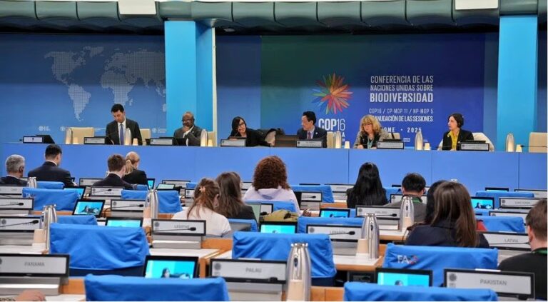 ‘Cali Fund’ launched at CBD COP16 in Rome to boost biodiversity finance