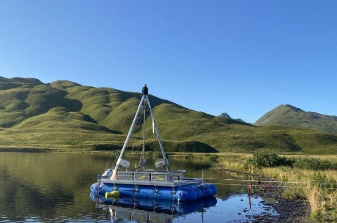 Global warming and mass extinctions: What we can learn from plants from the last ice age