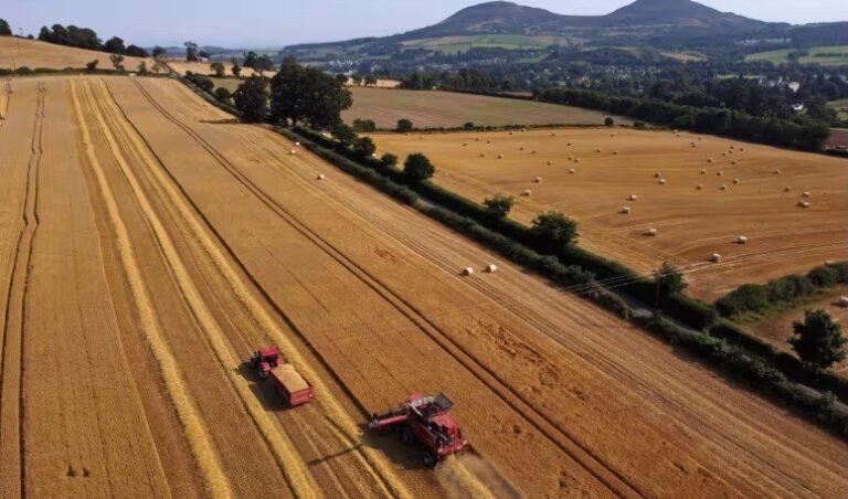 Urgent action needed to ensure UK food security, report warns