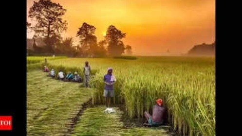 AP govt’s RySS expands natural farming pilot in Zambia