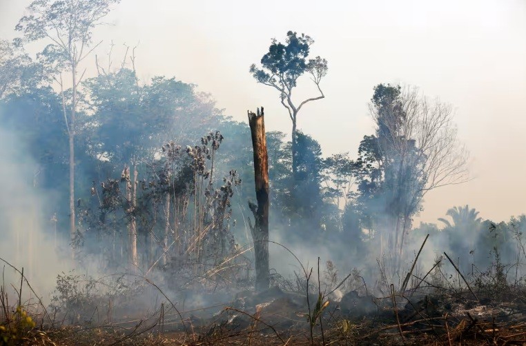 Cop30 in talks to hire PR firm that worked for lobby seeking weaker Amazon protections