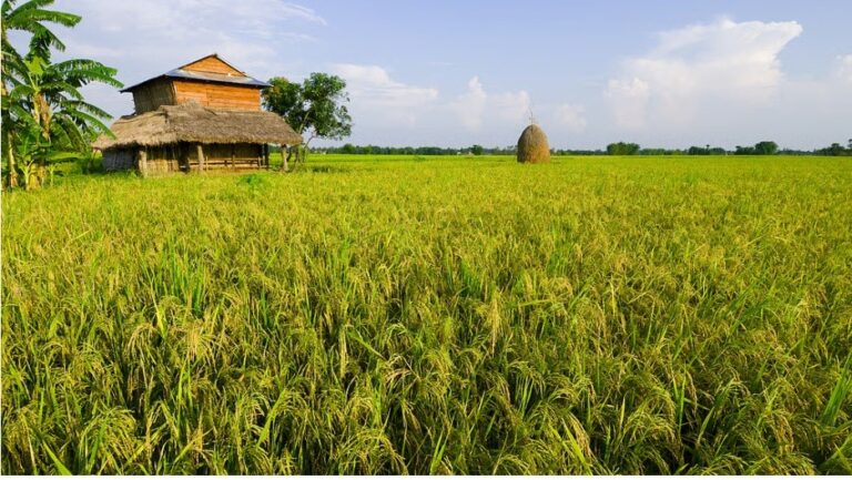 Food security must prioritise Indigenous knowledge over corporate control