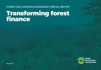Transforming forest finance