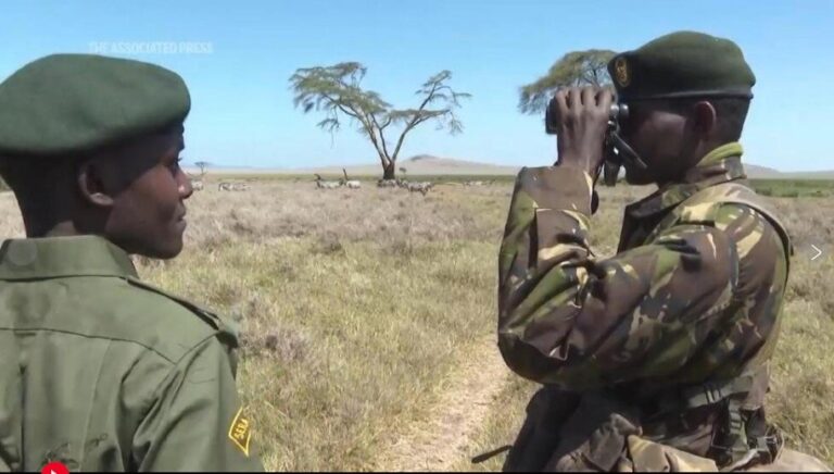 ‘Wildlife corridors’ are encouraged to support Kenya’s recovering animal populations