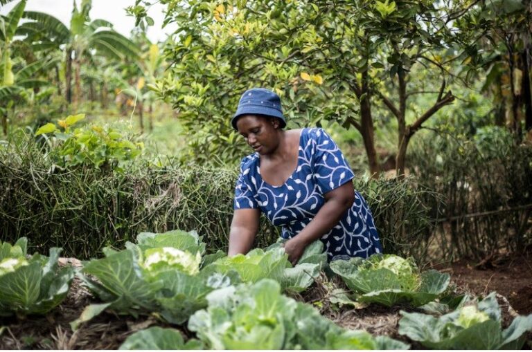 To feed a warming world, we must also serve up gender equality
