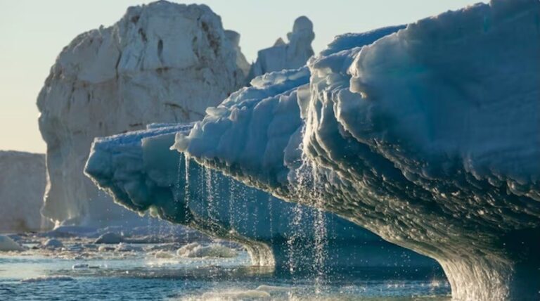 Rising global temperatures is causing glaciers to lose ice at record rate: Unesco