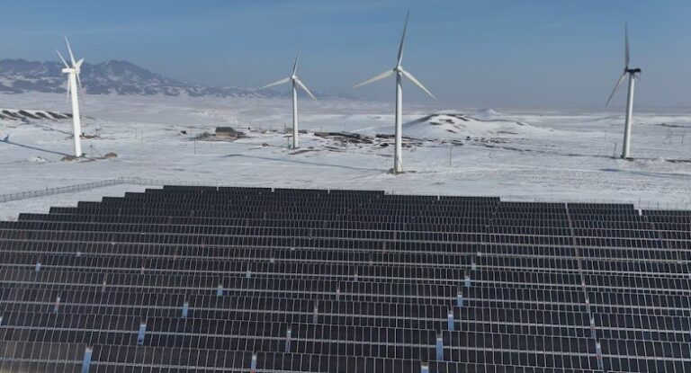 Renewables and natural gas surge ahead of oil and coal