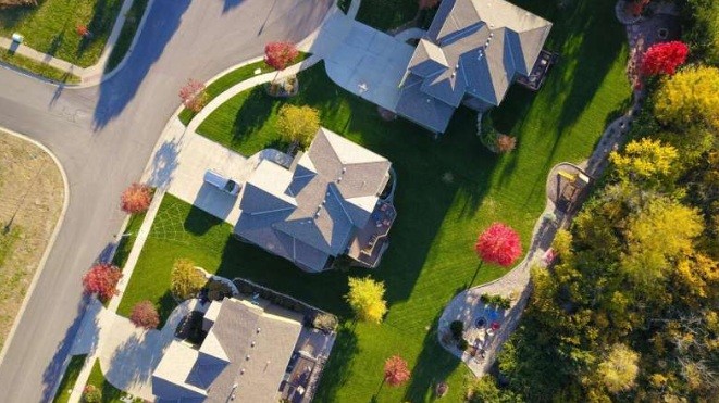 Long-term Switzerland-wide study finds the layout of trees may impact human health