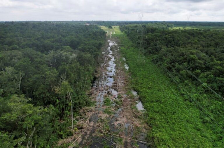 Brazil announces auto industry executive as COP30 climate champion