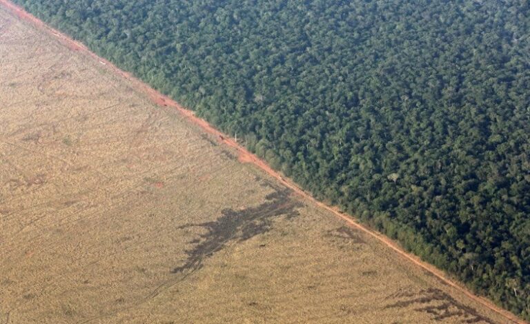 Brazil’s government aims to raise $2 billion in financing with new Eco Invest auction