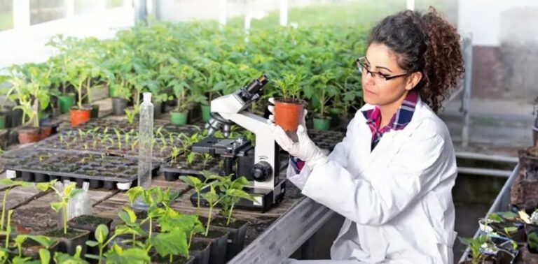 Less than 1% of agriculture researches address climate change, sustainable farming practices