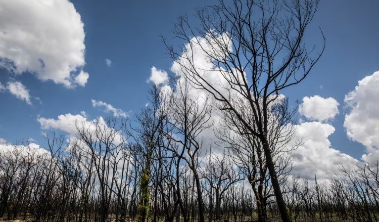 Average person will be 40% poorer if world warms by 4C, new research shows