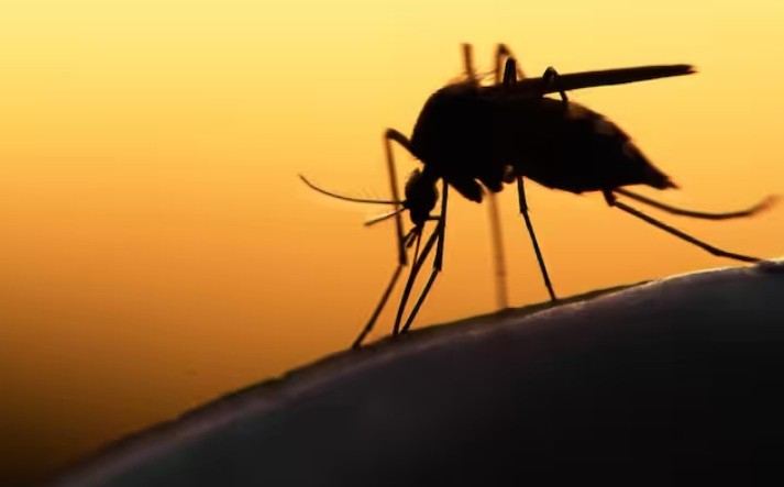 World Malaria Day: Why we need an integrated health and climate action