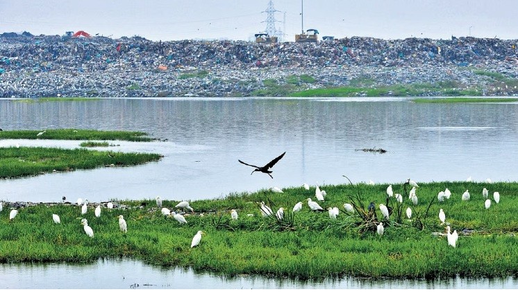 India surpasses China in Ramsar sites, but wetlands face alarming loss, says Ramsar Convention Secretary General