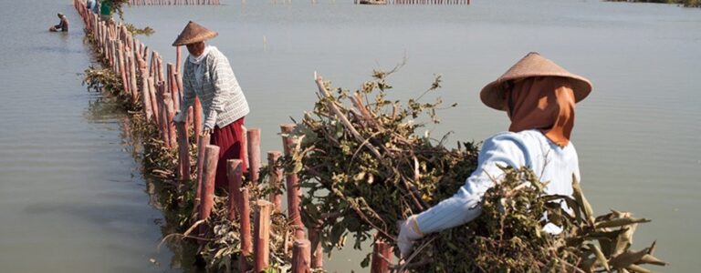 In an ancient Javanese sultanate, coastal women battle climate fallout